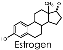 Hooked on Estrogen