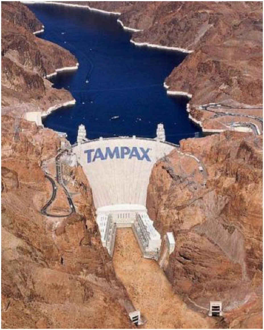 Dam Tampax