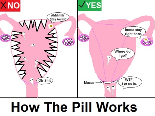 How the Birth Control Pill Works: An Illustrated Guide