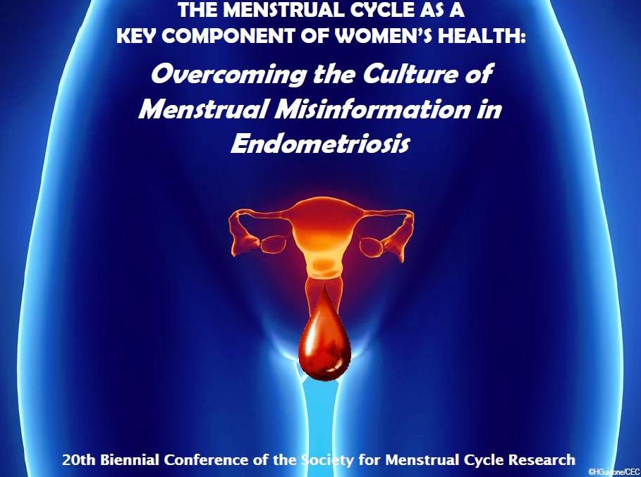 “If Menstrual Health is the Neglected House on the Block … Then Endometriosis is the Basement”